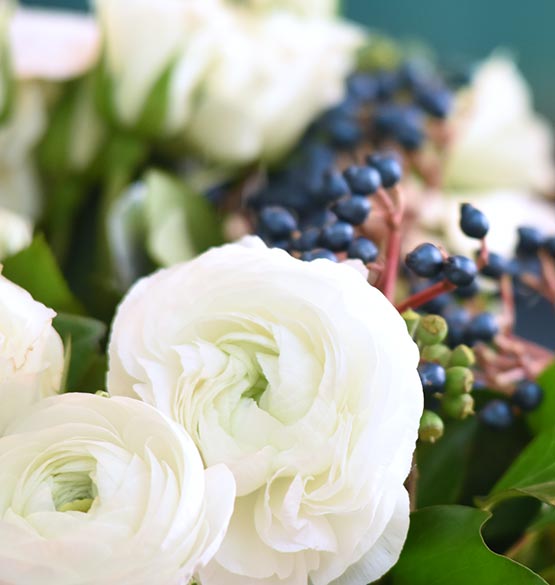 Blumen weiße Rosen Gabriele Nawrot